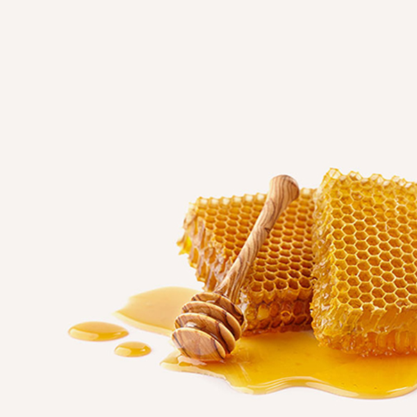 Product-gallery-img52 q